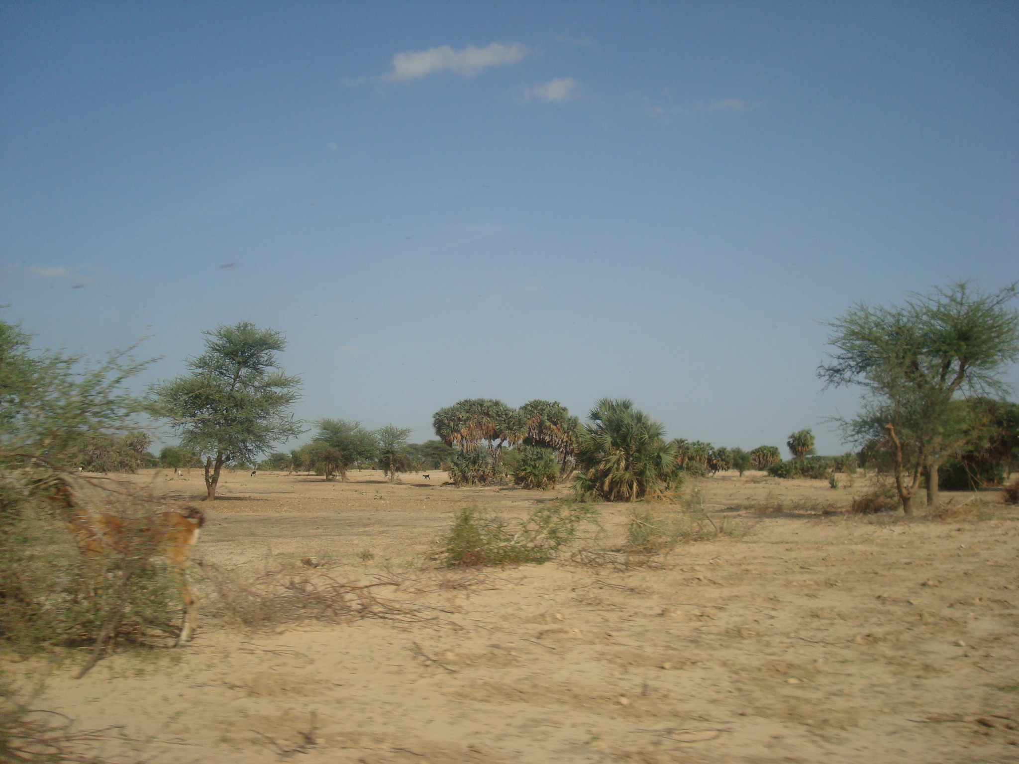 Nigeria-Niger border (2010).